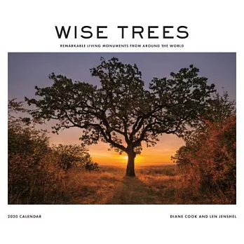 Wise Trees 2020 Calendar: Remarkable Living Monuments from Around the World