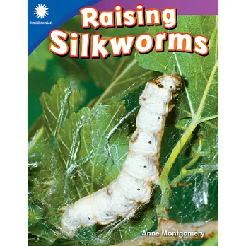 Raising silkworms