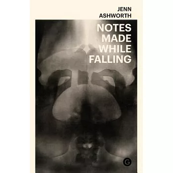 Notes Made While Falling