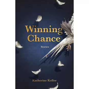 Winning Chance: Stories