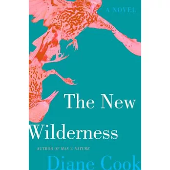 The new wilderness : a novel /