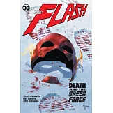 The Flash Vol. 12