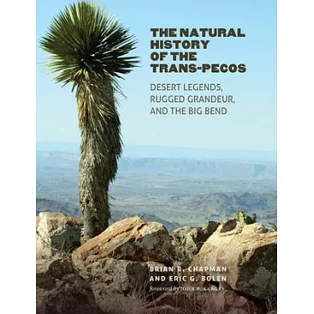 The Natural History of the Trans-Pecos: Desert Legends, Rugged Grandeur, and the Big Bend