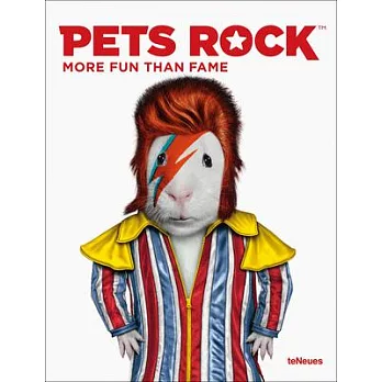 Pets Rock: More Fun Than Fame