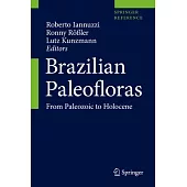 Brazilian Paleofloras: From Paleozoic to Holocene