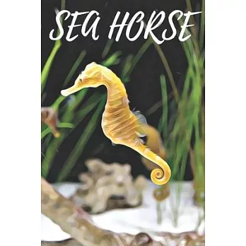 Sea Horse Notebook: A beautiful diary for animal lovers / Best for writing notes and ideas for home or school use / Perfect for a gift / S