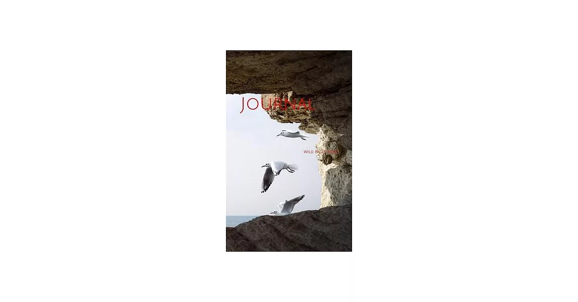 Journal: cave rock sea seagulls birds sunset | 拾書所