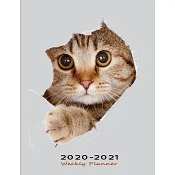 2020-2021 Weekly Planner: Gift for Cat Lovers - Two Years Organizer Notebook with To-Do List & Priorities - Kitten Looking Out
