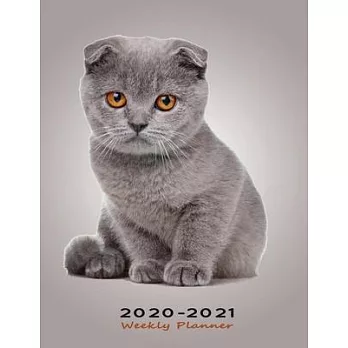 2020-2021 Weekly Planner: Two Years Appointment Diary & Notebook with To-Do List and Priorities - Gift for Cat Lovers - Cute Gray Kitten