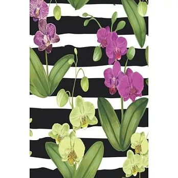 Notes: Orchid / Medium Size Notebook with Lined Interior, Page Number and Daily Entry Ideal for Organization, Taking Notes, J