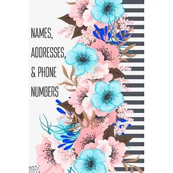 Names, Addresses, & Phone Numbers: Address Book With Alphabet Index ( Small Tabbed Address Book ).