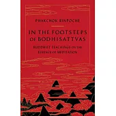 In the Footsteps of Bodhisattvas: Buddhist Teachings on the Essence of Meditation