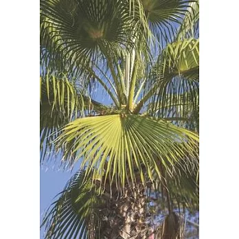 Palm Tree Close-Up Journal: 150 Page Lined Notebook/Diary