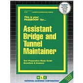 Assistant Bridge & Tunnel Maintainer