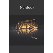 Notebook: Notebook Bee - Fun gift for someone’’s birthday, perfect present for a friend or a family member. Blank Lined Journal,