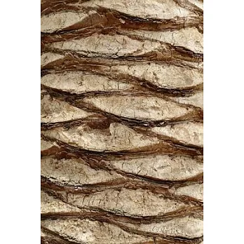 Palm Tree Trunk Journal: 150 Page Lined Notebook/Diary