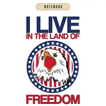 Notebook: American eagle land of freedom united states of Notebook-6x9(100 pages)Blank Lined Paperback Journal For Student, kids