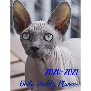 2 Year Planner 2020-2021 Daily Weekly Monthly: see it Bigger Large size Personal Appointment at a Glance Calendar Planner Spread Views 24 Months to Do