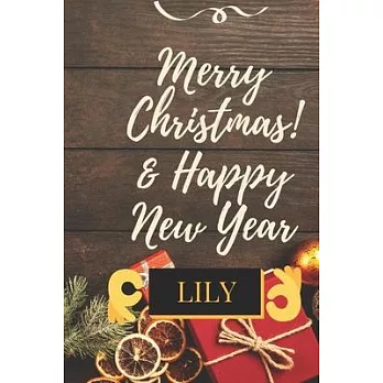 Merry Christmas & Happy New Year LILY: This Is An Inspiring Christmas & New Year Gift For Your Lovers Kids And Adults To Start Sketching, Drawing, Wri