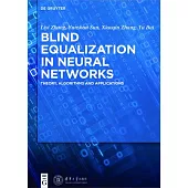 Blind Equalization in Neural Networks: Theory, Algorithms and Applications