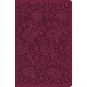 ESV Value Compact Bible (Trutone, Raspberry, Floral Design)