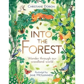 Into the forest : wander through our woodland world