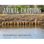 Animal Emotions