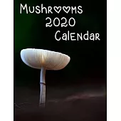 Mushrooms 2020 Calendar