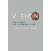 Vision: How It Works and What Can Go Wrong
