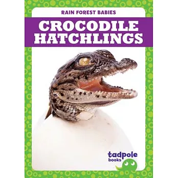 Crocodile Hatchlings
