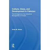 Culture, Class, and Development in Pakistan: The Emergence of an Industrial Bourgeoisie in Punjab
