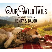Our Wild Tails: The Adventures of Henry and Baloo