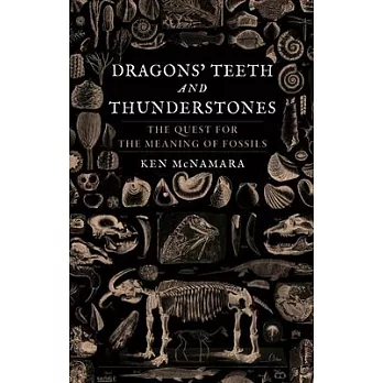 Dragons’’ Teeth and Thunderstones: The Quest for the Meaning of Fossils