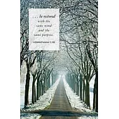 Winter Path Scripture Series Bulletin (Pkg of 50)