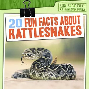 20 Fun Facts about Rattlesnakes