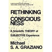 Rethinking Consciousness: A Scientific Theory of Subjective Experience