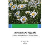 Introductory Algebra: An Intuition-Building Approach For Teaching Your Child