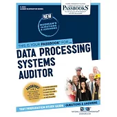 Data Processing Systems Auditor
