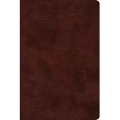 ESV Bible with Creeds and Confessions (Trutone, Burgundy)