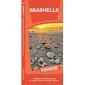 Seashells: A Waterproof Folding Guide to Familiar North American Species