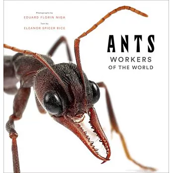 Ants: Workers of the World