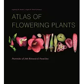 Atlas of Flowering Plants: Visual Studies of 200 Decontructed Botanical Families