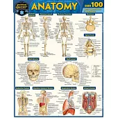 Anatomy Quizzer: A Quickstudy Laminated Reference Guide