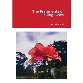 The Fragments of Falling Skies