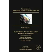 Quantitative Atomic-Resolution Electron Microscopy: Volume 217