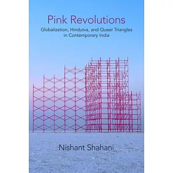 Pink Revolutions: Globalization, Hindutva, and Queer Triangles in Contemporary India