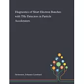Diagnostics of Short Electron Bunches With THz Detectors in Particle Accelerators