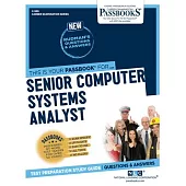 Senior Computer Systems Analyst