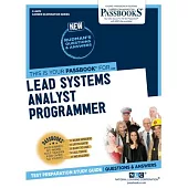 Lead Systems Analyst Programmer