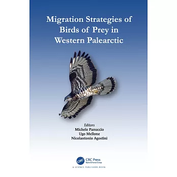 Migration Strategies of Birds of Prey in Western Palearctic